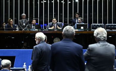 Brasília (DF), 24/06/2025 - Senadores durante sessão deliberativa ordinária do Senado Federal que trata de igualdade de gênero, proteção à família de empregados públicos e segurança alimentar de estudantes. Foto: Andressa Anholete/Agência Senado
