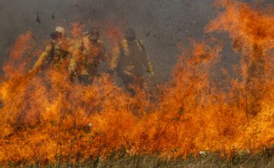 RETROSPECTIVA_2023 - Incêndios castigam o Pantanal. - Foto: Joédson Alves/Agência Brasil