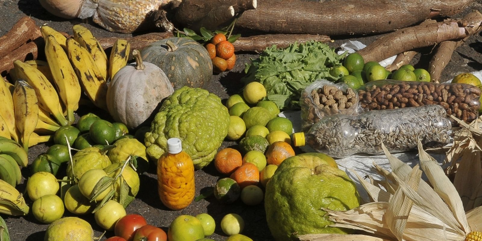 Alimentos do Compra Direta são entregues no CRAS de Vale do Sol
