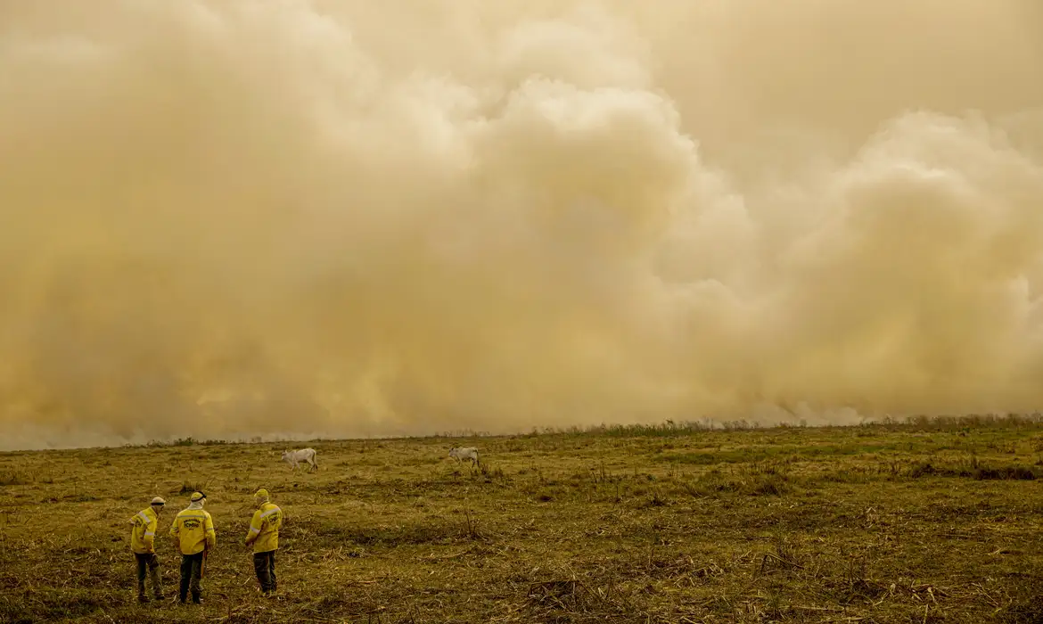 Joédson Alves/Agência Brasil Porto Jofre (MT) 19/11/2023 – Brigadistas do Icmbio observam cortina de fumaça por conta do incêndio florestal que atige o Pantanal. Foto: Joédson Alves/Agência Brasil