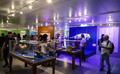 Rio de Janeiro (RJ), 29/08/2024 – Museu Nacional inaugura novo espaço com a exposição “Um Museu de Descobertas”, em São Cristóvão, zona norte da capital fluminense. Foto: Tomaz Silva/Agência Brasil