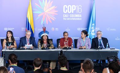 Cali, 31/10/2024 - Ministro do Meio Ambiente Marina Silva durante entrevista coletiva na COP16 da Biodiversidade. Foto: Felipe Werneck/MMA
