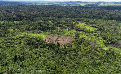 Karipuna de Rondônia notam indícios de aumento de invasores em sua terra. Foto: Lideranças karipuna/ Divulgação