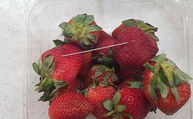 Supplied undated handout image obtained September 14, 2018 of a thin piece of metal seen among a punnet of strawberries in Gladstone. AAP/Queensland Police/Handout via REUTERS  ATTENTION EDITORS - THIS IMAGE WAS PROVIDED BY A THIRD PARTY. NO
