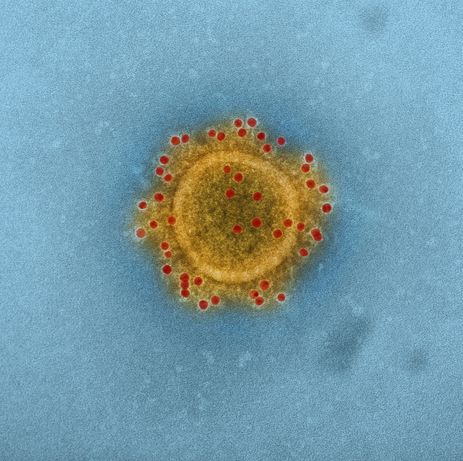 Surto de coronavírus é motivo de prontidão, não de alarde, alertam as autoridades