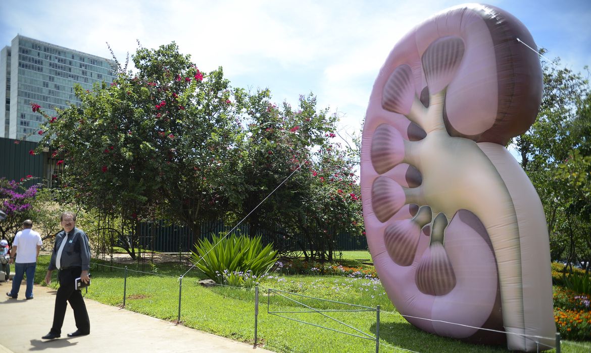 Brasília - No Dia Mundial do Rim, entidades da área de saúde promovem campanhas de esclarecimento sobre formas de prevenção de doenças renais (Marcelo Camargo/Agência Brasil) 