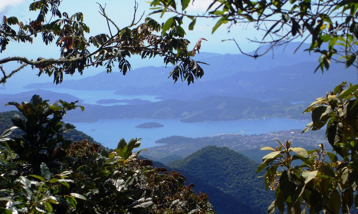 Mirante Paraty-Cunha 