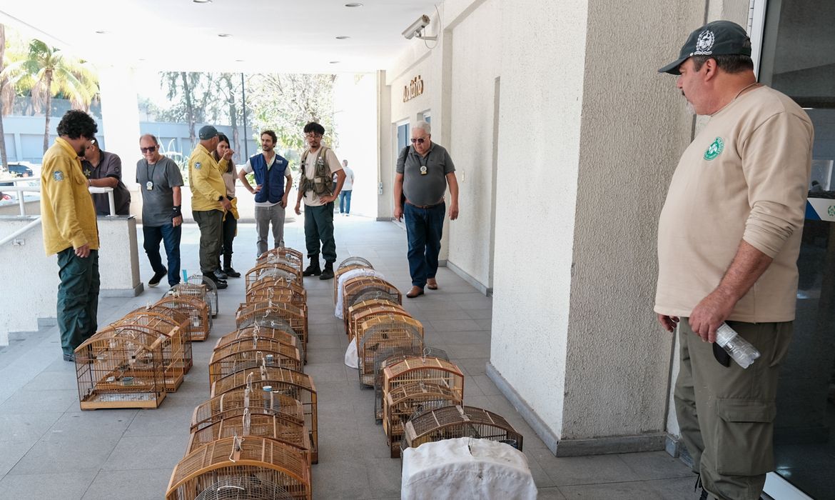 Carlos Magno e PCERJ Rio de Janeiro (RJ), 16/09/2025 – 16/09/2025 - Operacão INEA e Polícia Civil, contra tráfico de animais silvestre.
Foto: Carlos Magno e PCERJ