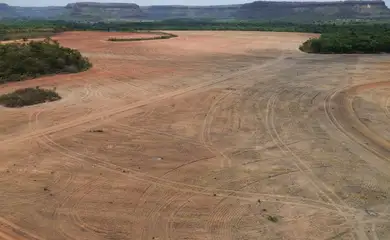 Balsas (MA),  22/12/2025 - Retrospectiva 2025 - Foto feita em 09/10/2025 -Lavoura de cultivo de soja avança sobre a vegetação do cerrado na região do Vão do Uruçuí, nos Gerais de Balsas. Foto: Fernando Frazão/Agência Brasil