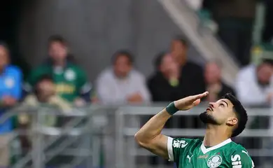 palmeiras, vasco, brasileiro