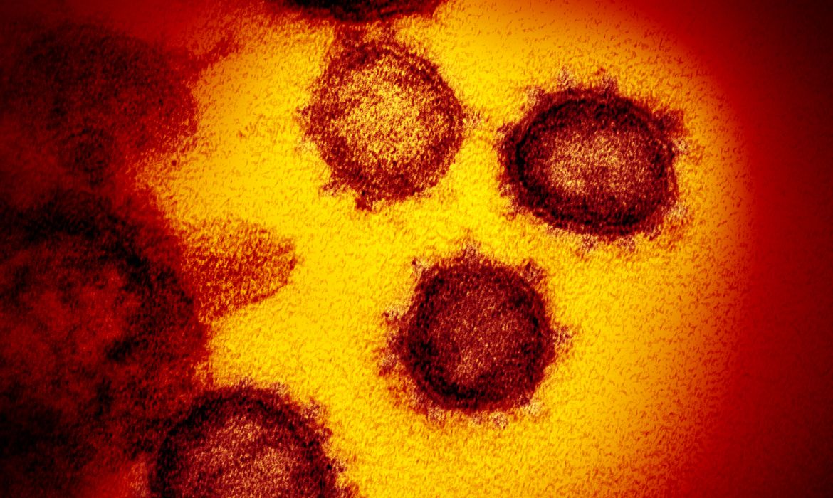 Coronavírus (COVID-19), Novo Coronavirus SARS-CoV-2