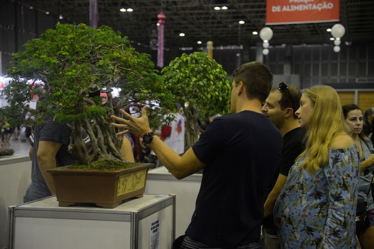 Rio de Janeiro - Mostra de bonsai no Japan Festival Rio Matsuri, evento que mostra diversas faces da moderna cultura japonesa, no Riocentro, na Barra da Tijuca (Tomaz Silva/Agência Brasil)