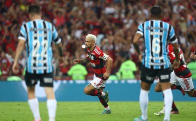 flamengo, grêmio, copa do brasil