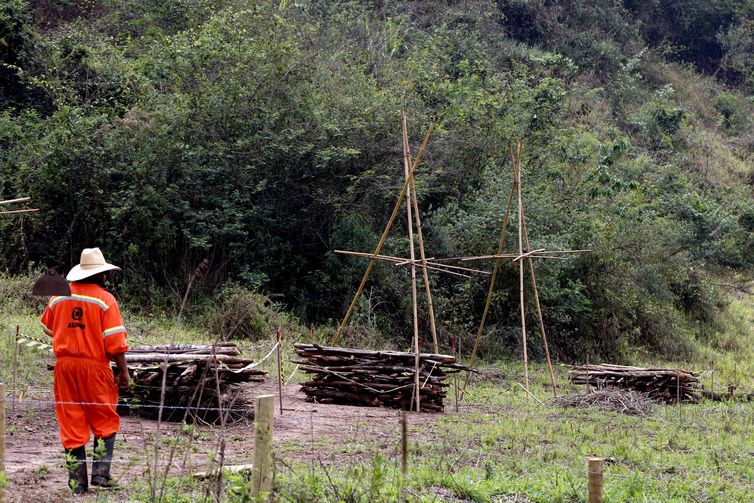 Tânia Rêgo/Agência Brasil Experimento de restauração florestal em área sob influência de rejeitos da barragem de Fundão, trecho do rio Gualaxo do Norte, um dos principais afluentes do rio Doce, que abrange os municípios de Mariana, Ouro Preto e Barra Longa