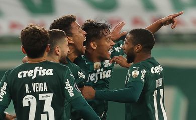Universidad Católica, Palmeiras, libertadores