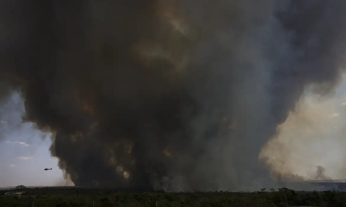 Brasília (DF), 16/09/2024 - Grandes focos de incêndio atingem áreas do Parque Nacional de Brasília. Foto: Marcelo Camargo/Agência Brasil