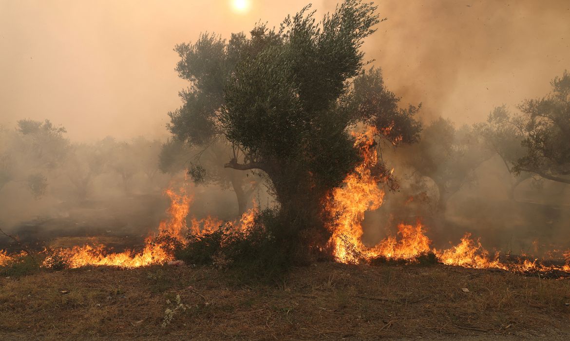 Incêndio na região grega de Evros