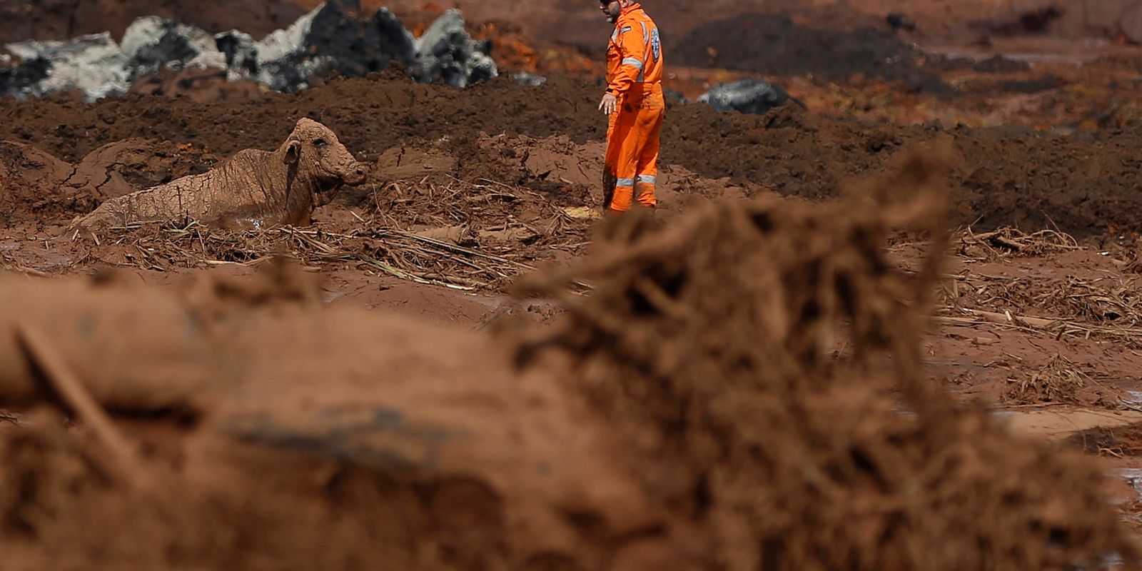 Maquiagem de dados e interesse comercial: as relações por trás dos  indiciamentos da Polícia Federal pela tragédia de Brumadinho - Gerais -  Estado de Minas