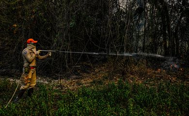 Teste com retardante para combater incêndios no Pantanal