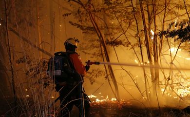 O Corpo de Bombeiros combate um incêndio na Floresta Nacional de Brasília