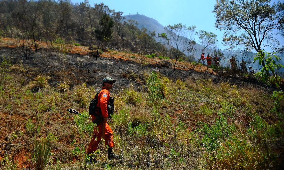 Uma sucessão de incêndios florestais de grandes proporções se alastram na Região Serrana. Brigadistas e guarda-parques combatem incêndio na mata em Araras (Fernando Frazão/Agência  Brasil)