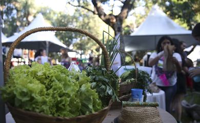 Em Brasília o evento Hora do Planeta tem programação com diversas atividades ligadas à sustentabilidade, como feira de adoção de animais, feira sustentável, espetáculos artísticos e oficinas.
