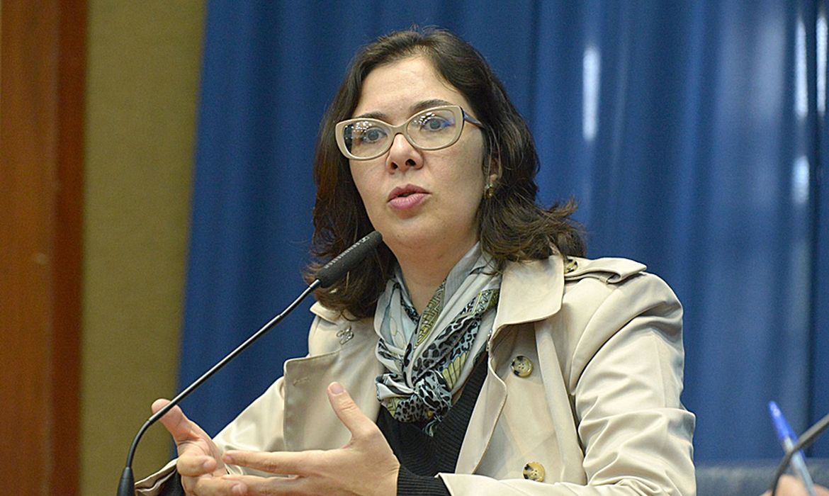 13/11/2023, A procuradora do Ministério Público de Contas, Élida Graziane, concede entrevista a Agência Brasil. Foto: Alesp/ Divulgação