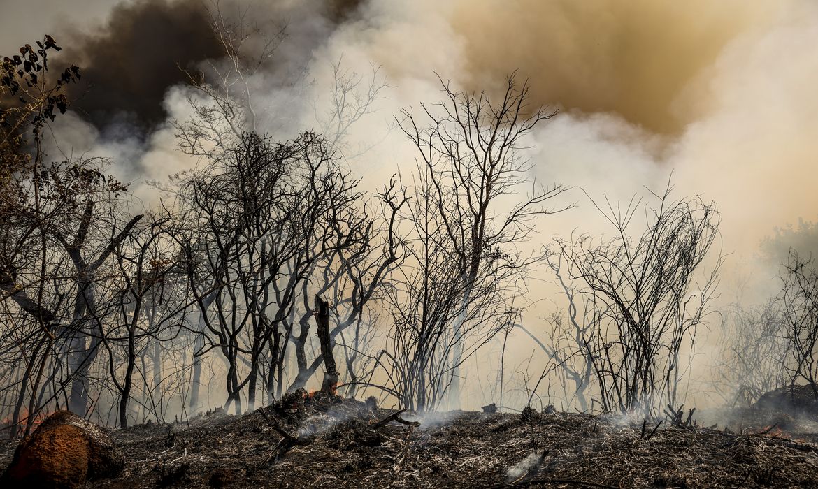 Brasília (DF), 24/08/2024 - Brigadistas do Instituto Brasília Ambiental e Bombeiros do Distrito Federal combatem incêndio em área de cerrado próxima ao aeroporto de Brasília. Foto: Marcelo Camargo/Agência Brasil