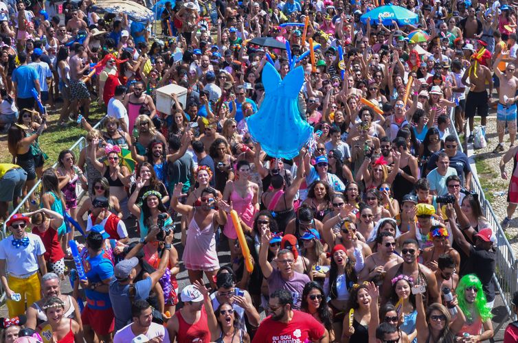 Carnaval de rua de São Paulo cresce e bate o Rio em número de blocos, Cultura