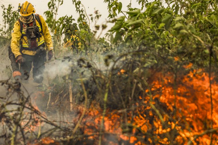Corumbá (MS), 29/06/2024 - Com o auxílio de aviões, brigadistas do Prevfogo/Ibama combatem incêndios florestais no Pantanal. Foto: Marcelo Camargo/Agência Brasil