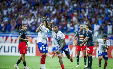 bahia, boston river, libertadores
