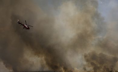 Brasília (DF), 16/09/2024 - Grandes focos de incêndio atingem áreas do Parque Nacional de Brasília. Foto: Marcelo Camargo/Agência Brasil