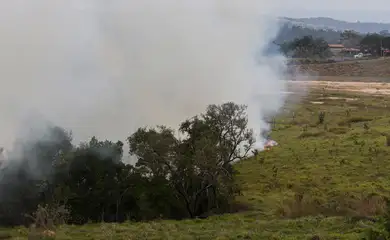 São Paulo (SP) 24/08/2024 - Foco de incêndio próximo a rodovia presidente Castelo Branco, o governo de São Paulo cria gabinete de crise para combate a incêndios
Estradas são interditadas e 30 municípios estão em alerta máximo
Foto: Paulo Pinto/Agência Brasil