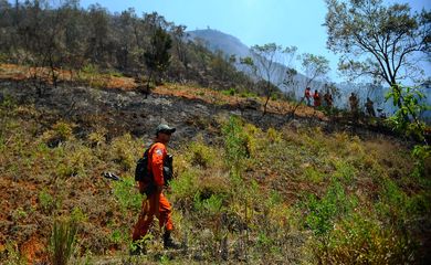 Uma sucessão de incêndios florestais de grandes proporções se alastram na Região Serrana. Brigadistas e guarda-parques combatem incêndio na mata em Araras (Fernando Frazão/Agência  Brasil)