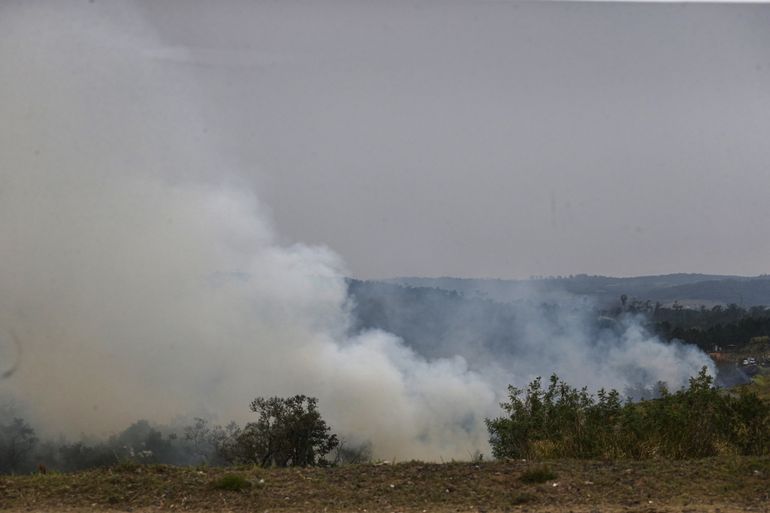 São Paulo (SP) 24/08/2024 - Foco de incêndio próximo a rodovia presidente Castelo Branco, o governo de São Paulo cria gabinete de crise para combate a incêndios
Estradas são interditadas e 30 municípios estão em alerta máximo
Foto: Paulo Pinto/Agência Brasil