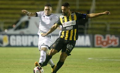 Botafogo, volta redonda, carioca