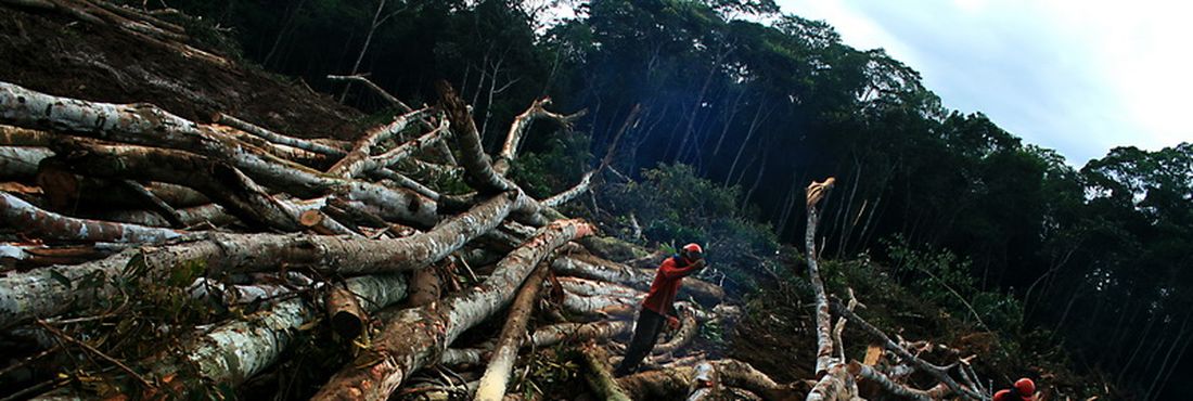 A Coalizão Brasil Clima, Florestas e Agricultura entende que o Brasil pode estabelecer uma INDC mais ousada, com metas palpáveis