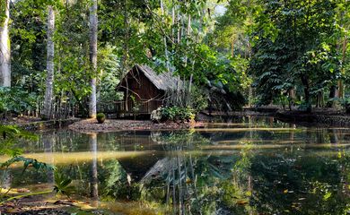 Região amazonica ,Jardim Botânico 