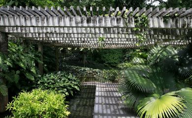 Sítio Burle Marx se prepara para candidatura a Patrimônio Mundial