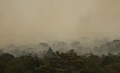 Brasília (DF), 16/09/2024 - Grandes focos de incêndio atingem áreas do Parque Nacional de Brasília. Foto: Marcelo Camargo/Agência Brasil