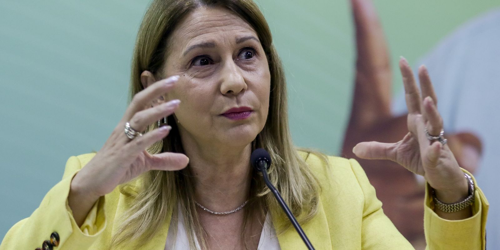 Brasília-DF, 19/07/2023, A secretária de Vigilância em Saúde e Ambiente (SVSA), Ethel Maciel, durante entrevista coletiva para apresentar dados atualizados de hepatites no Brasil e ações para eliminação da doença como problema de saúde pública. Foto: Antô