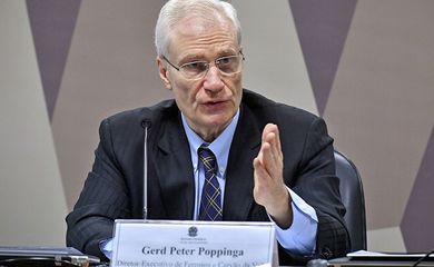 O ex-diretor da área de Ferrosos e Carvão da empresa Vale, Gerd Poppinga, foi ouvido pelos integrantes da CPI de Brumadinho, no Senado.