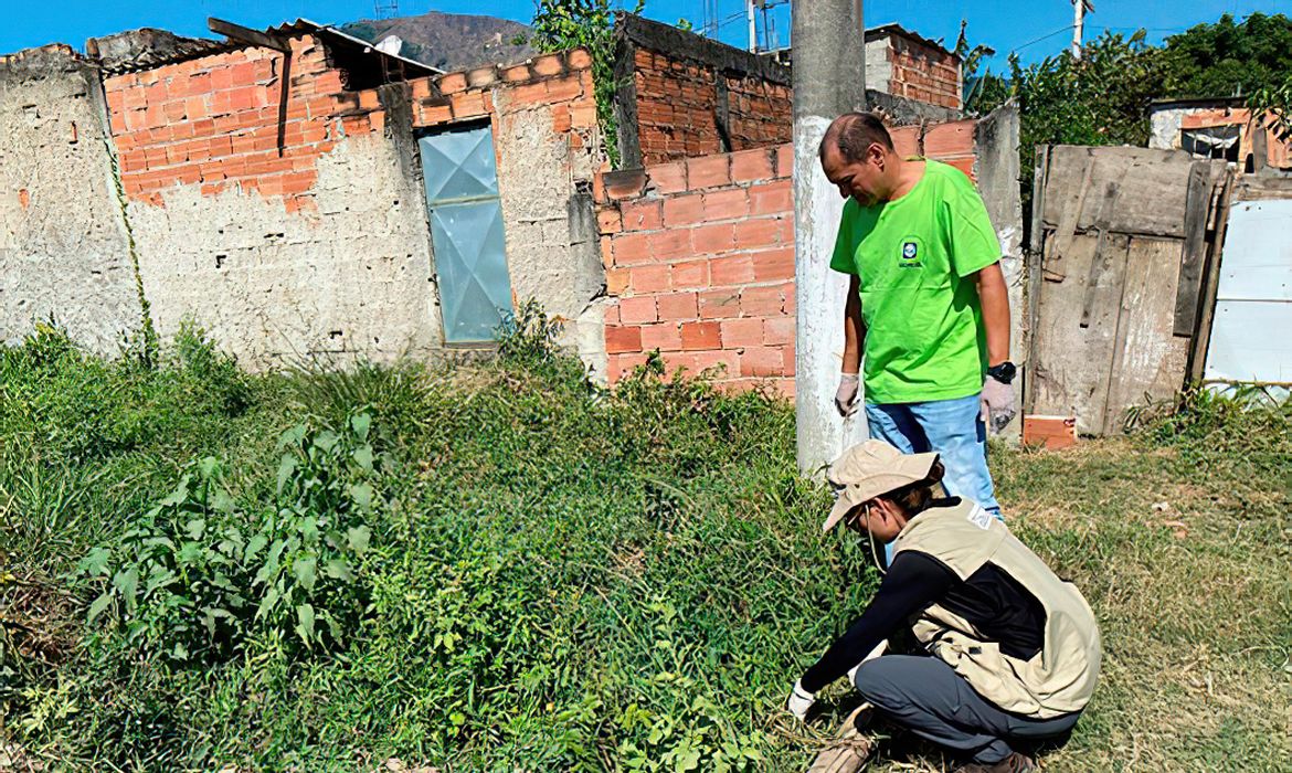 Rio de Janeiro (RJ) 01/07/2024 -Fiocruz alerta para meningite transmitida por caramujo.
Profissionais do IOC Fiocruz e da Suvam Nova Iguaçu em atividade de campo para coleta de caramujos no bairro Ipiranga.
Foto: Fiocruz/Divulgação