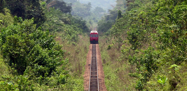 Linha Ferroviária Central atravessa densa floresta nos Camarões