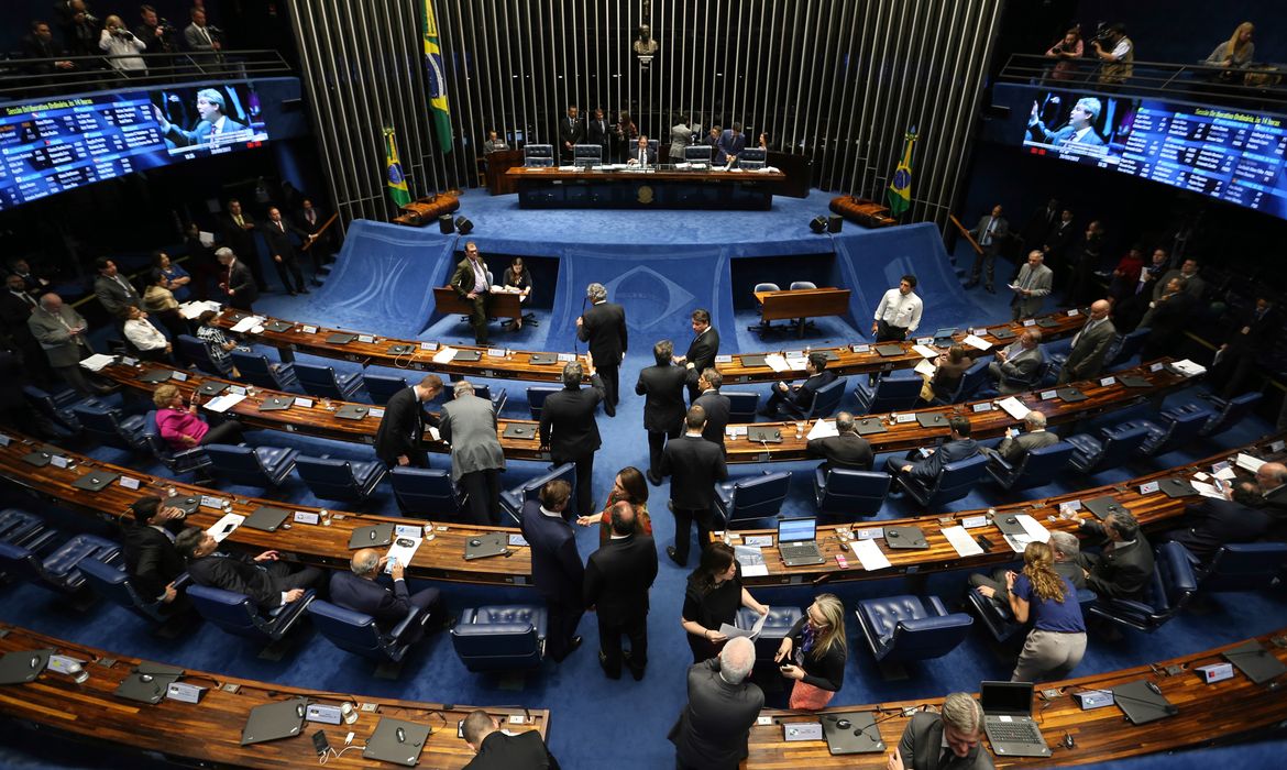 Brasília - Plenário do Senado discute o PLS 206/2017, do senador Ronaldo Caiado, que institui o Fundo Especial de Financiamento de Campanha (Fabio Rodrigues Pozzebom/Agência Brasil)
