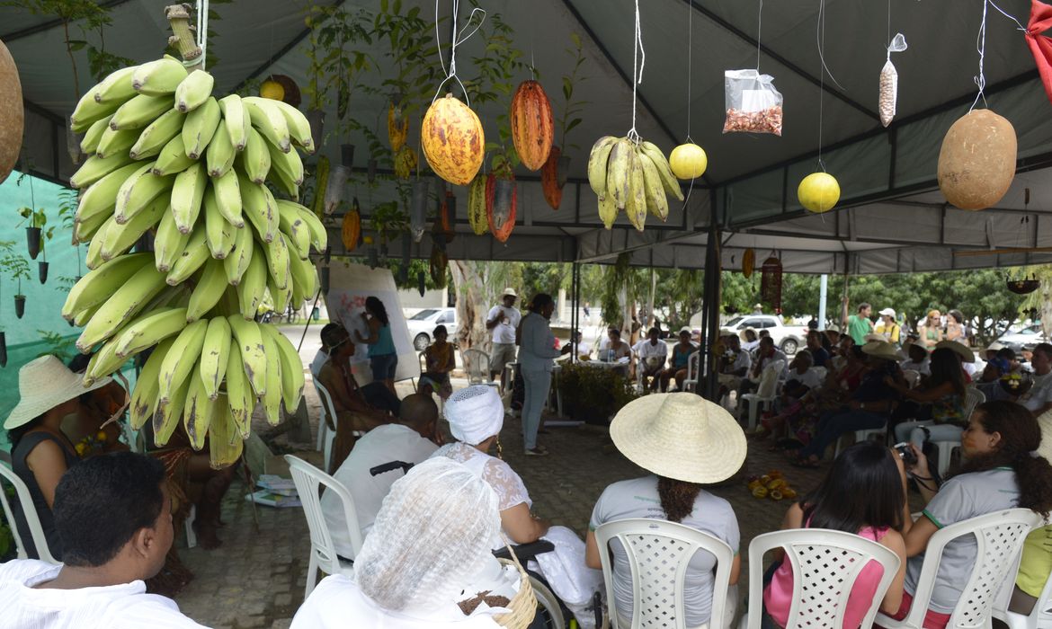 III ENA - Encontro Nacional de Agroecologia, sessão plenária simultânea dos territórios. Extremo Sul da Bahia (Valter Campanato/Agência Brasil)