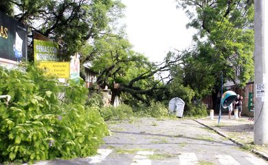 Temporal em Porto Alegre derruba árvores e deixa mais de 300 mil residências sem luz
