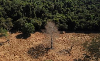 Desmatamento na fronteira entre o Cerrado e a Amazônia no Mato Grosso