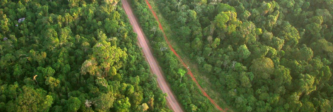 A perda de floresta tropical pode afetar pessoas a milhares de quilômetros de distância, segundo estudo.