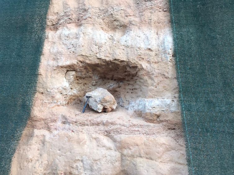 Divulgação/ Entrevias/ Direitos Reservados Fóssil de dinossauro é encontrado no interior de SP